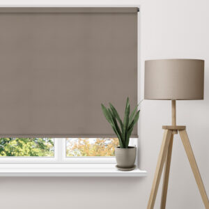 Duo Block Roller Blinds