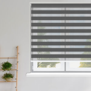 Zebra Vision Blind