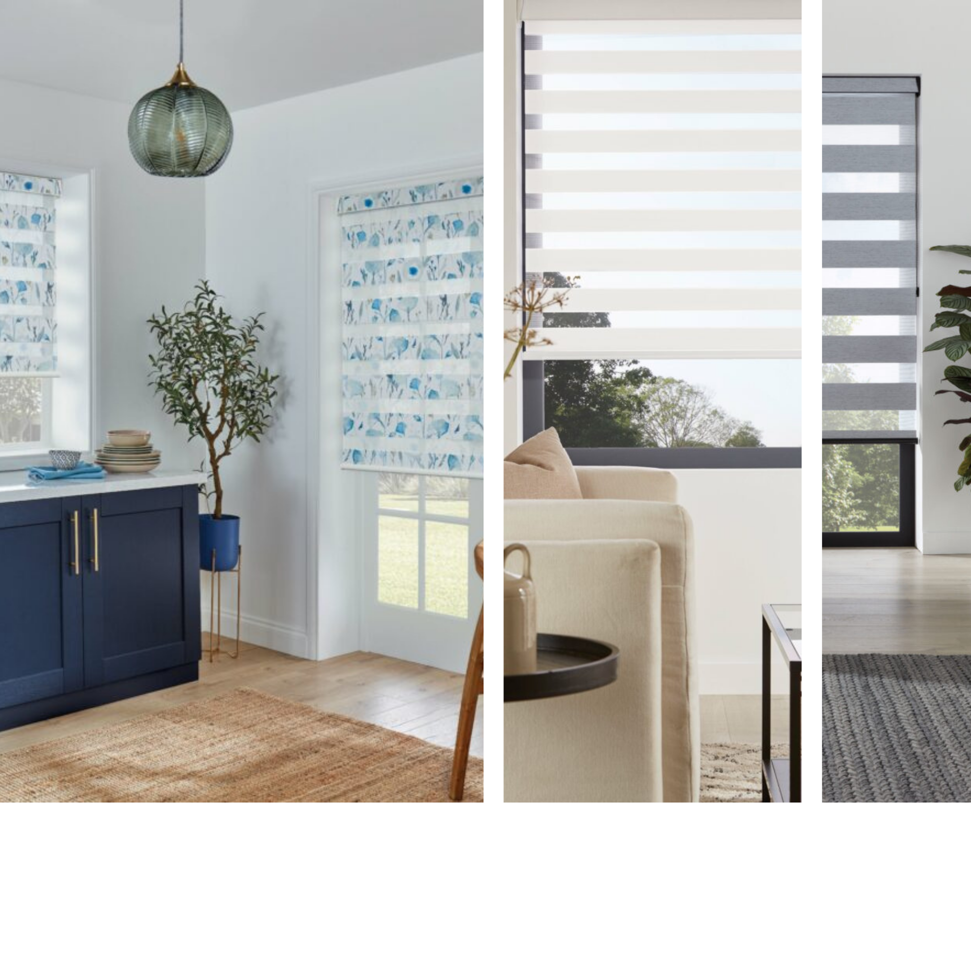 Vision Blinds