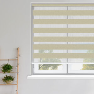 Zebra Block Vision Blind